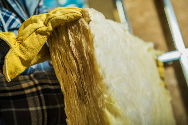 Best Spray Foam Insulation in Biggs, CA