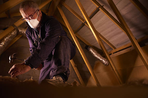 Best Spray Foam Insulation in Biggs, CA