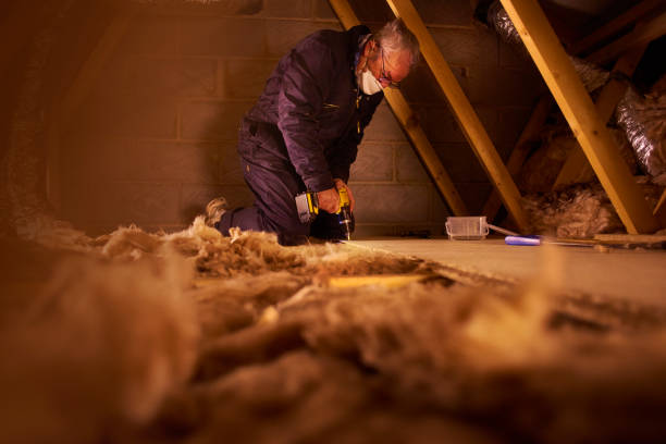 Professional Insulation Contractor in Biggs, CA
