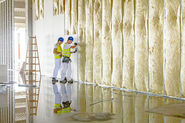 Best Blown-in Insulation in Biggs, CA